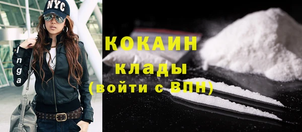 крисы Алзамай