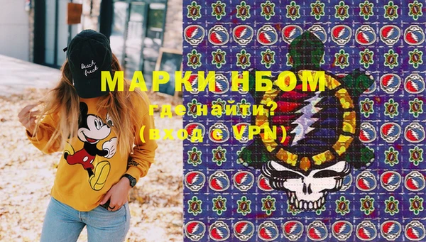 крисы Алзамай