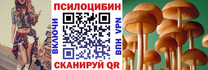 Псилоцибиновые грибы мицелий  Осинники 